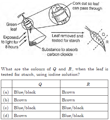 CBSE Class 10 Science Life Processes Worksheet_3