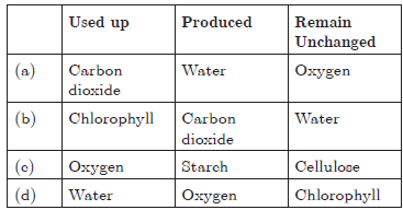 CBSE Class 10 Science Life Processes Worksheet_6