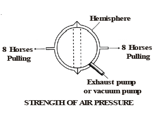 CBSE Class 8 Science Force And Pressure Notes Set B