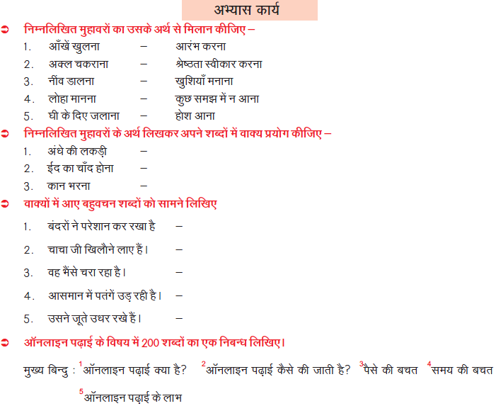CBSE Class 7 Hindi Practice Worksheet Set A_2