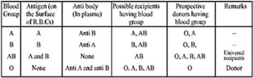 ""CBSE-Class-11-Biology-Body-Fluids And-Circulation