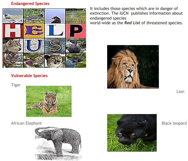 ""Class 11 Geography Biodiversity And Conservation