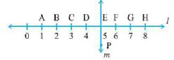 ""NCERT-Solution-Class-6-Maths-Understanding-Elementary-Shapes-26