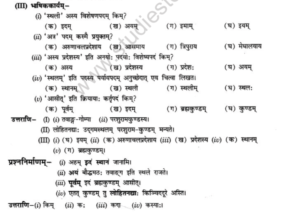 NCERT-Solutions-Class-10-Sanskrit-Chapter-10-suswagat-bho-arunachalesmin-16