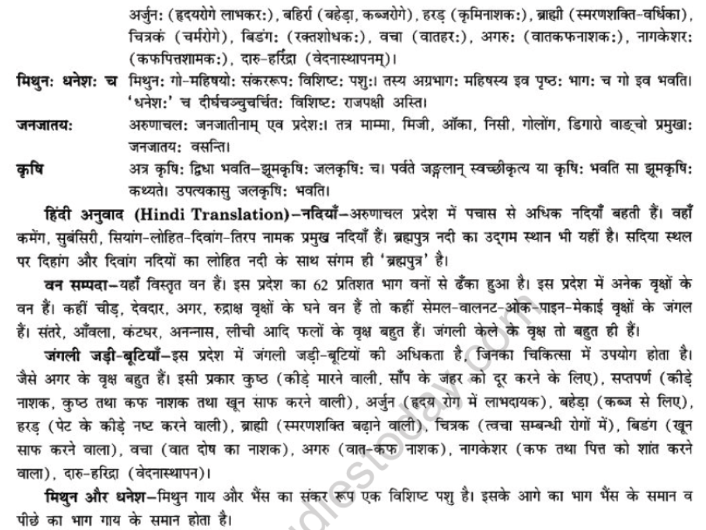 NCERT-Solutions-Class-10-Sanskrit-Chapter-10-suswagat-bho-arunachalesmin-23