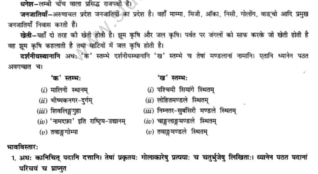 NCERT-Solutions-Class-10-Sanskrit-Chapter-10-suswagat-bho-arunachalesmin-24