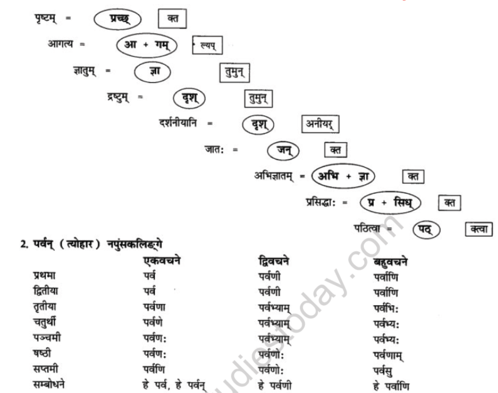 NCERT-Solutions-Class-10-Sanskrit-Chapter-10-suswagat-bho-arunachalesmin-25