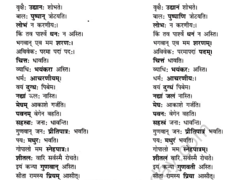 NCERT-Solutions-Class-10-Sanskrit-Chapter-8-vachana-lingam-purusha-lakara-Dusya-Samshedhanam-1