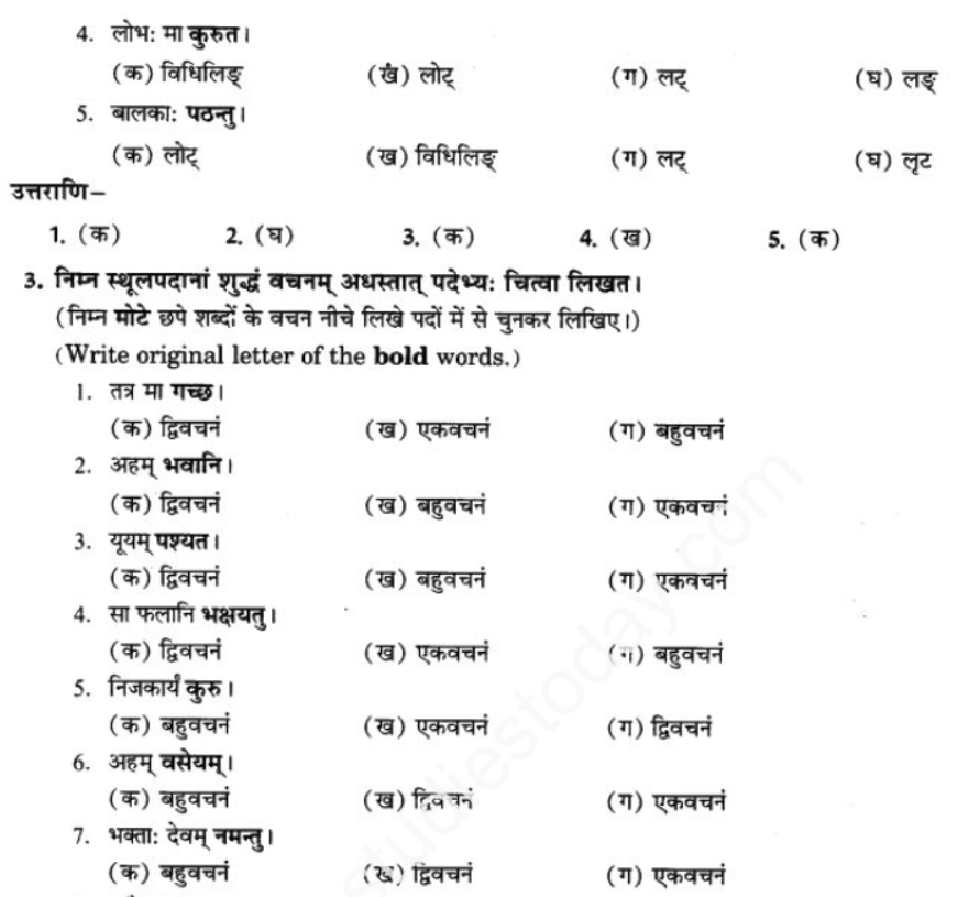 ncert-solutions-class-9-sanskrit-chapter-10-vidhilid-lakar