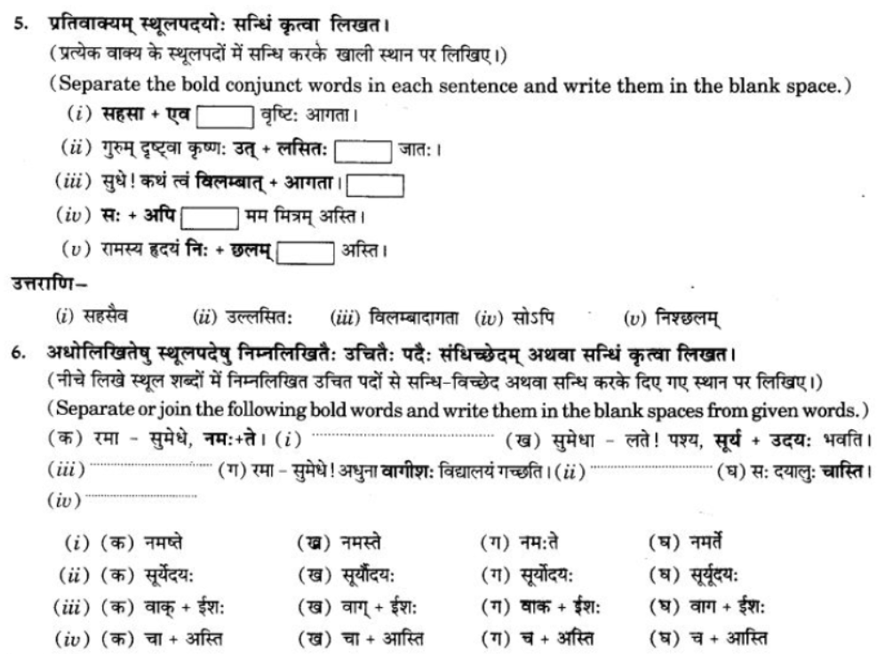ncert-solutions-class-9-sanskrit-chapter-4-visargsandhi
