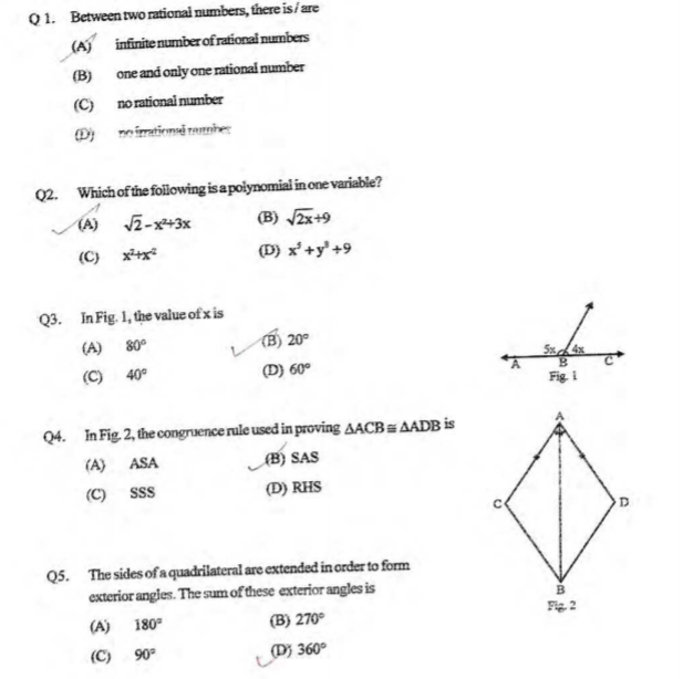 class_9_Maths_Question_paper_53