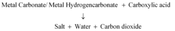 NCERT-Solutions-Class-10-Science-Chapter-15-Our-Environment-9.png