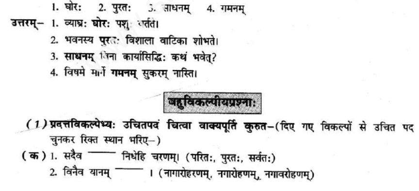 ncert-solutions-class-8-sanskrit-chapter-4-sadev-purto-nidehi-charnam