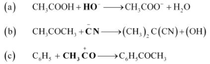 ""NCERT-Solutions-Class-11-Chemistry-Chapter-12-Organic-Chemistry-20