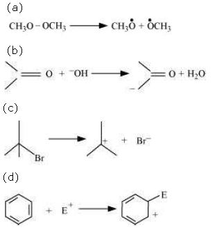 ""NCERT-Solutions-Class-11-Chemistry-Chapter-12-Organic-Chemistry-26