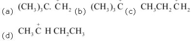 ""NCERT-Solutions-Class-11-Chemistry-Chapter-12-Organic-Chemistry-33