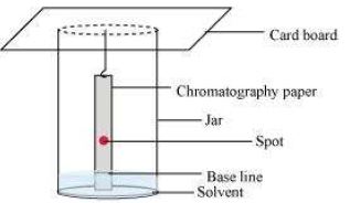 ""NCERT-Solutions-Class-11-Chemistry-Chapter-12-Organic-Chemistry-40