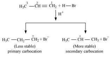 ""NCERT-Solutions-Class-11-Chemistry-Chapter-13-Hydrocarbons-26