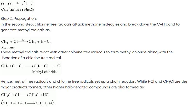 ""NCERT-Solutions-Class-11-Chemistry-Chapter-13-Hydrocarbons