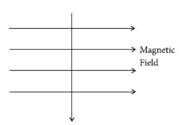 CBSE-Class-10-Science-Magnetic-Effects-Of-Electric-Current-2.png