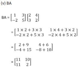""NCERT-Solutions-Class-12-Mathematics-Chapter-3-Matrices-17