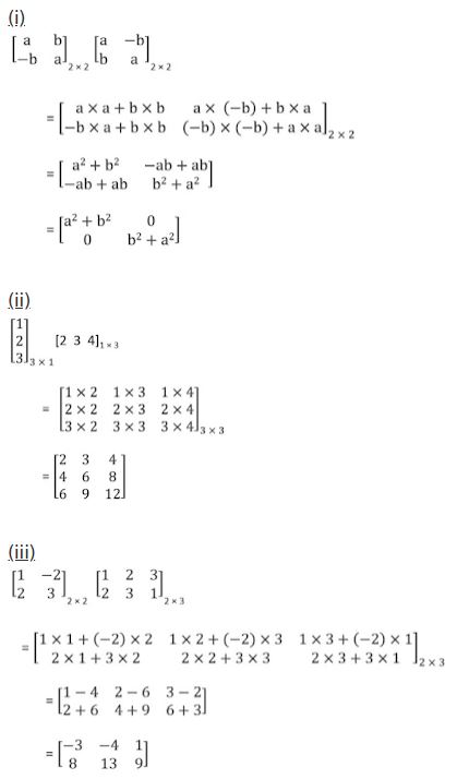 ""NCERT-Solutions-Class-12-Mathematics-Chapter-3-Matrices-22