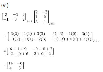 ""NCERT-Solutions-Class-12-Mathematics-Chapter-3-Matrices-24