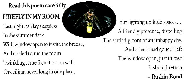 ""CBSE-Class-5-English-Firefly-In-My-Room-Worksheet