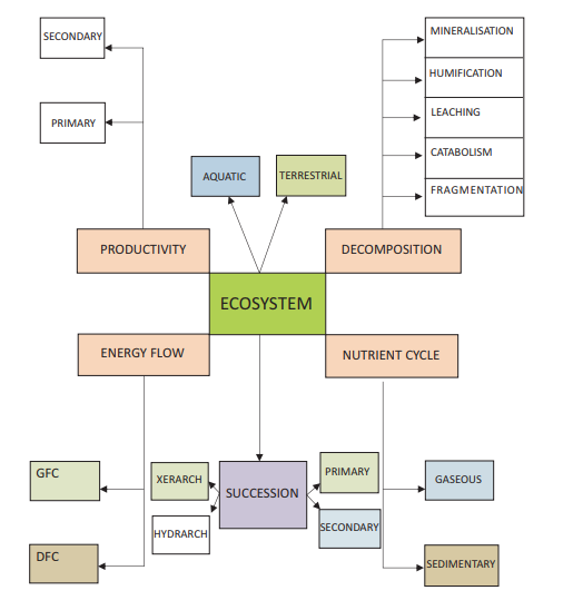 CBSE_CLASS-12_BIOLOGY_ECOSYSTEM_CONCEPT_MAP_1