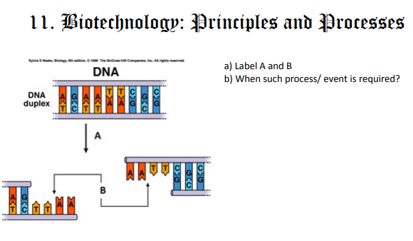 CBSE_CLASS_12_BIOLOGY_BIOTECHNOLOGY_PRINCIPLE_1