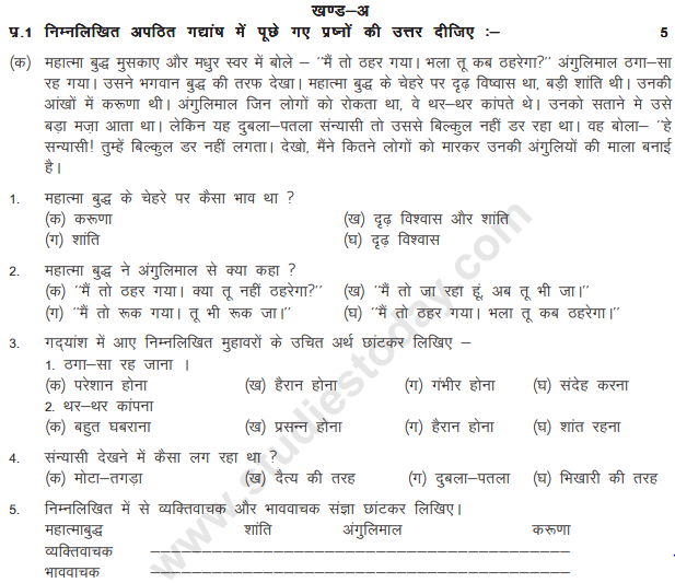 Class_5_Hindi_Question_Paper_11
