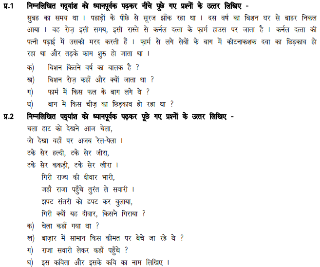 CBSE Class 5 Hindi Sample Paper Set H
