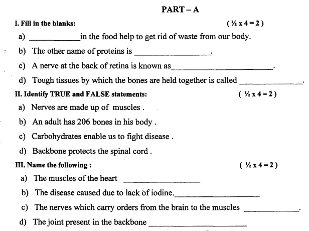 CBSE Class 5 Science Question Paper Set G