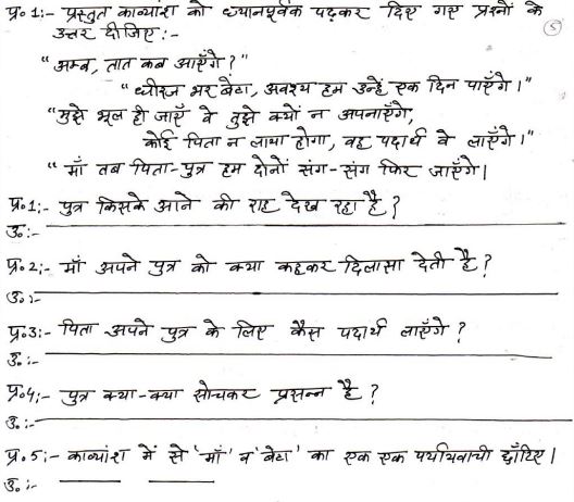 Class_8_Hindi_Sample_Paper_19