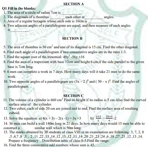 Class_8_Mathematics_Sample_Paper_11