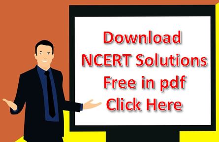 NCERT Solutions Classes 6th to 12th