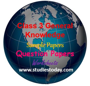 class_3_GK_worksheet_sample_paper_question_ncert