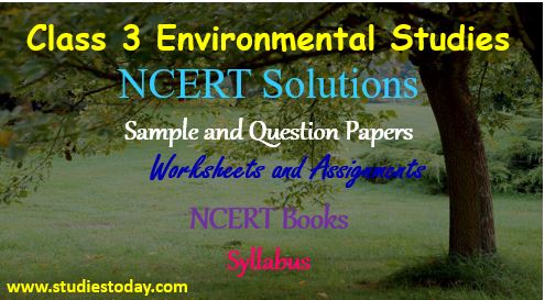 class_3_evs_worksheet_sample_paper_question_ncert