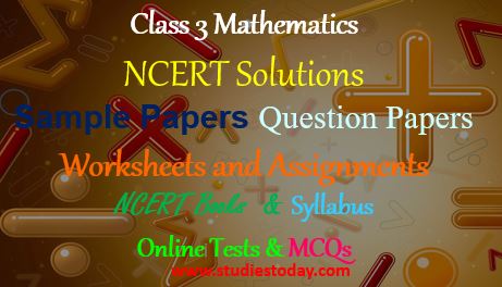 class_3_maths_ncert_solution_worksheet_sample_paper_questiont