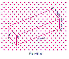 CBSE Class 7 Maths Activity 10B