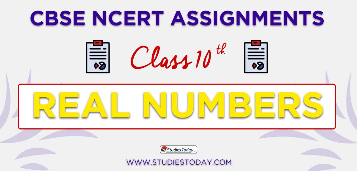 CBSE NCERT Assignments for Class 10 Real Numbers