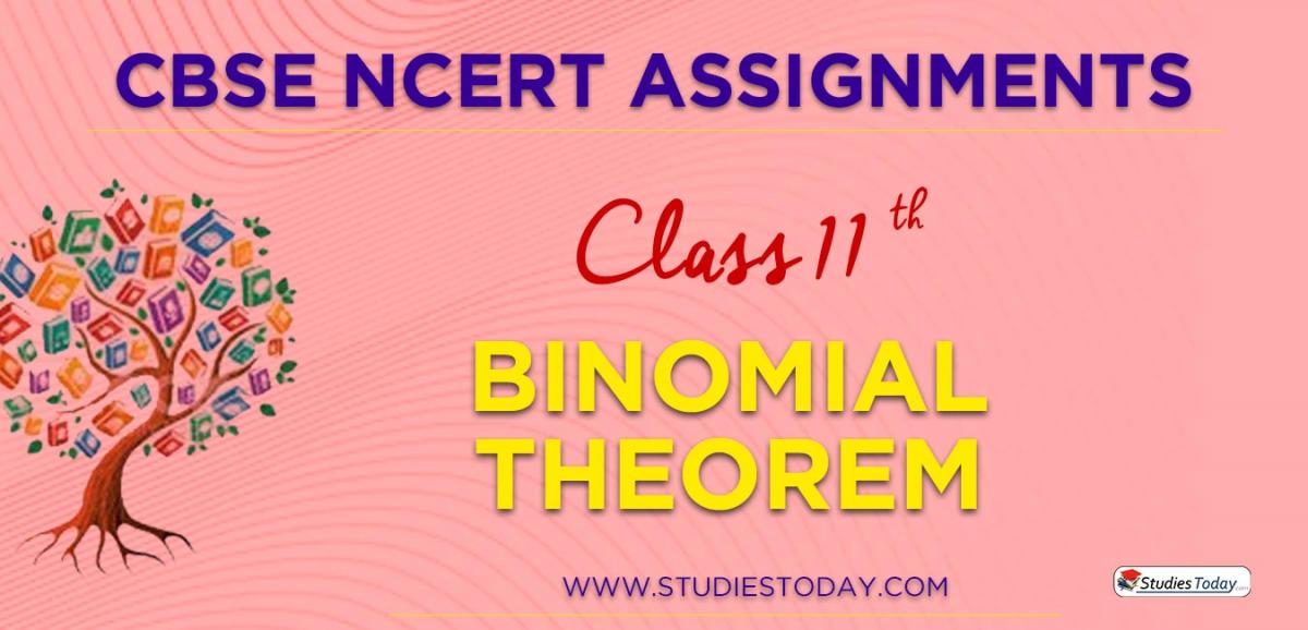 CBSE NCERT Assignments for Class 11 Binomial Theorem
