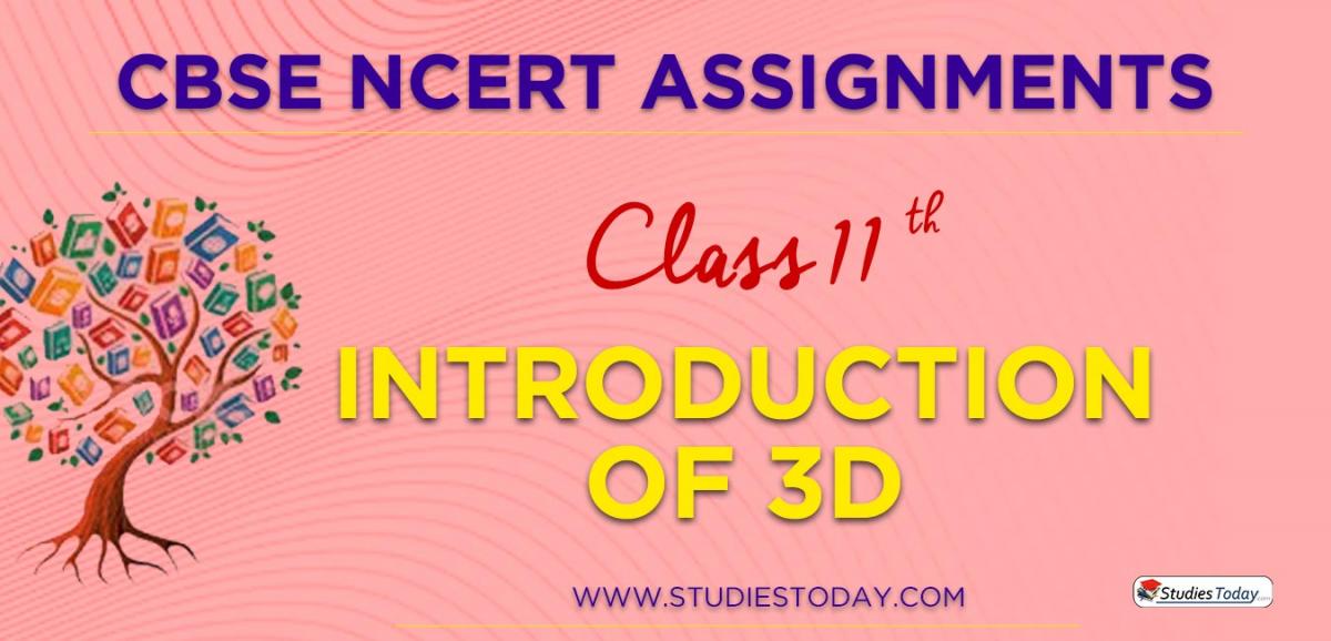 CBSE NCERT Assignments for Class 11 Introduction of 3D