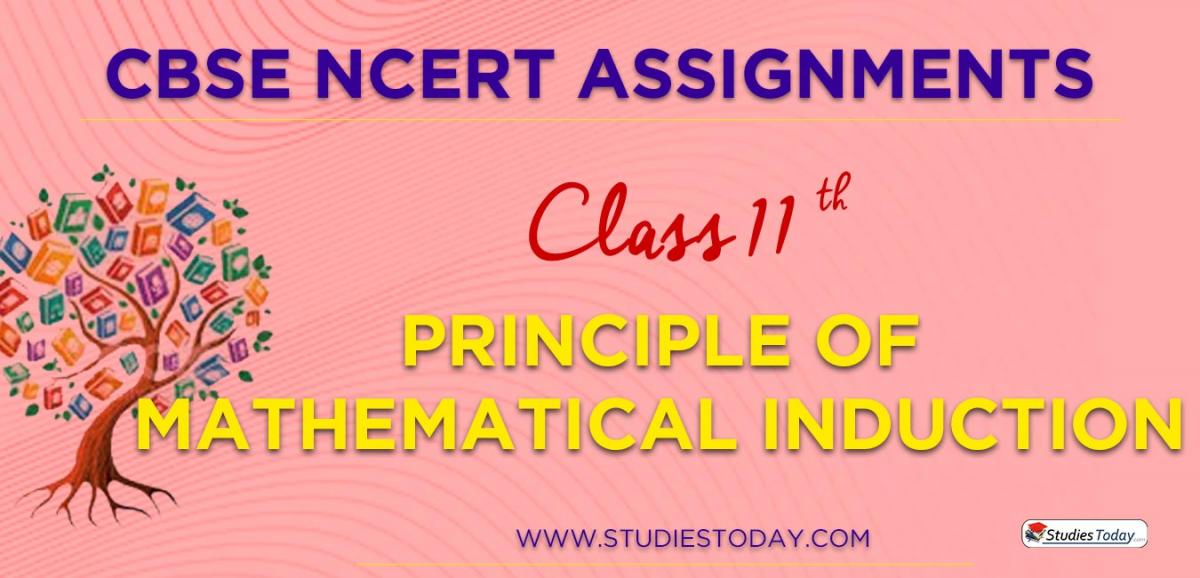 CBSE NCERT Assignments for Class 11 Principle of Mathematical Induction (PMI)
