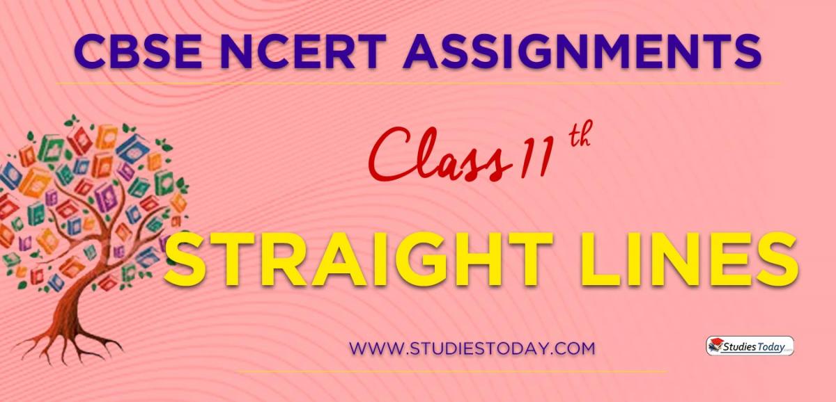 CBSE NCERT Assignments for Class 11 Straight Lines