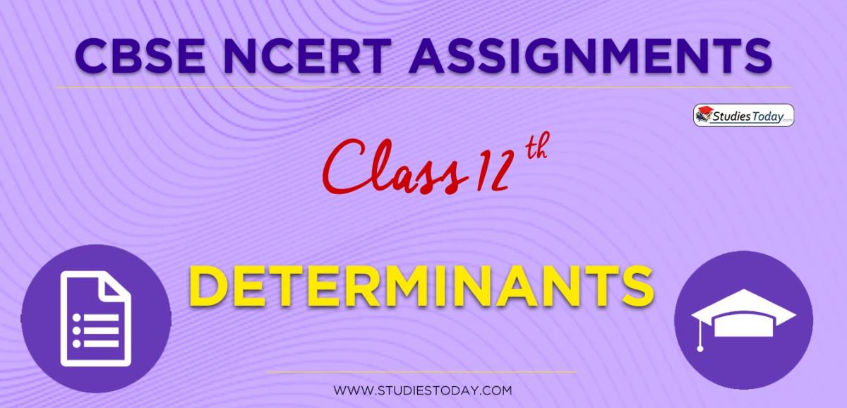 CBSE NCERT Assignments for Class 12 Determinants