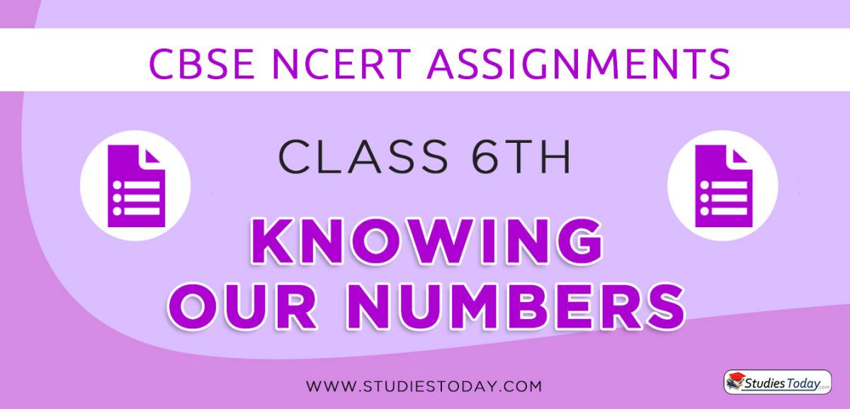 CBSE NCERT Assignments for Class 6 Knowing our Numbers