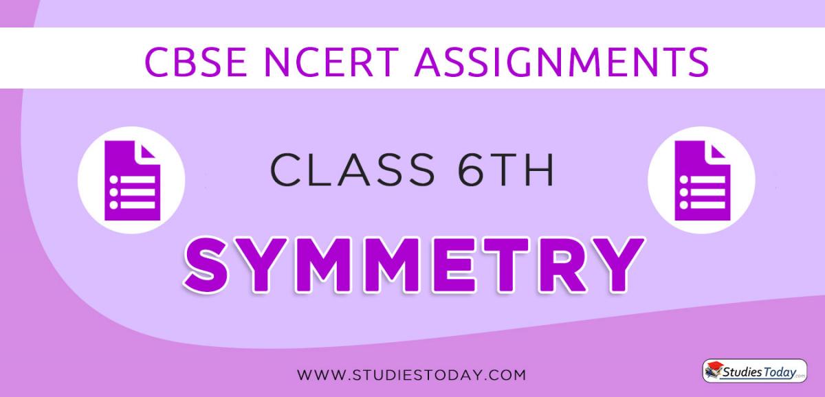 CBSE NCERT Assignments for Class 6 Symmetry