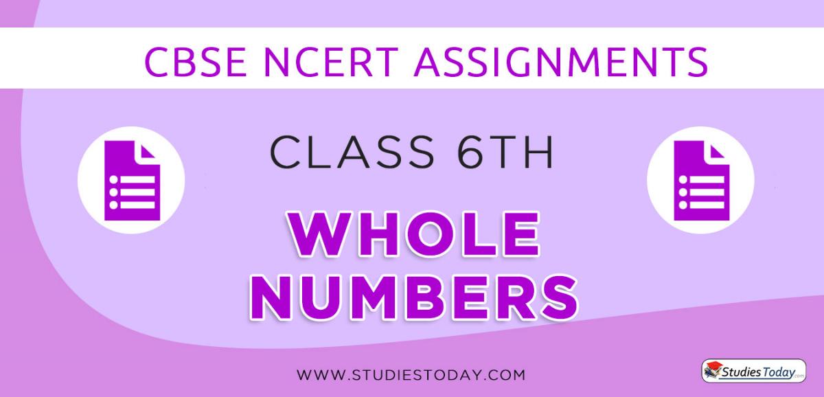 CBSE NCERT Assignments for Class 6 Whole Numbers