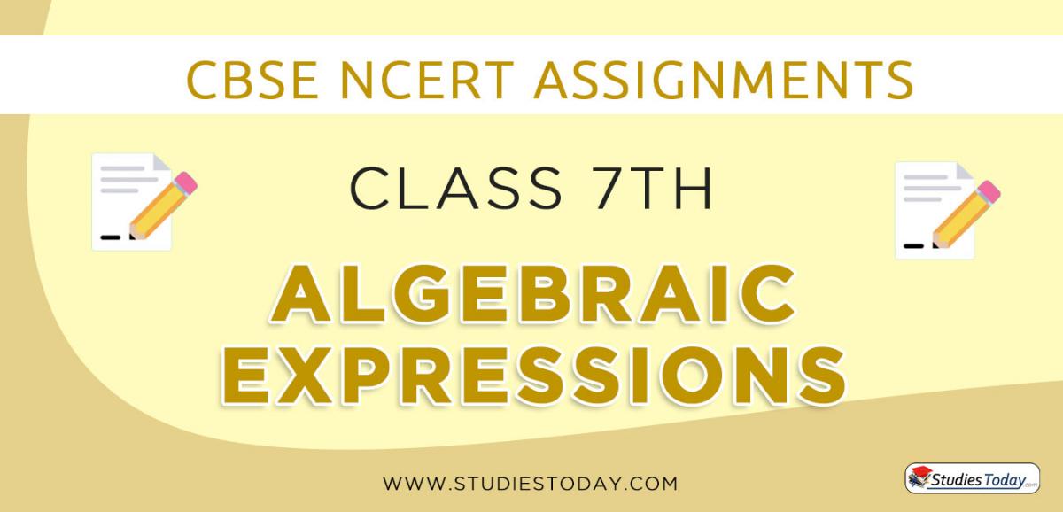 CBSE NCERT Assignments for Class 7 Algebraic Expressions